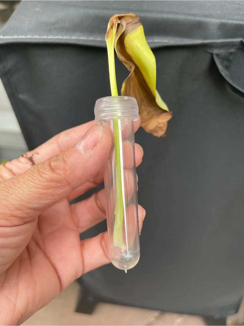 N/A clear plastic